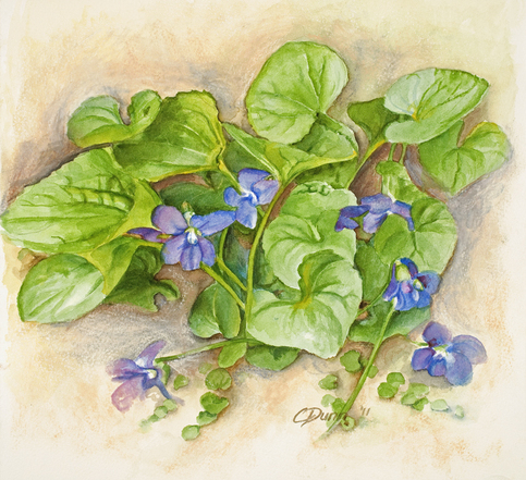 Violets bloom in early spring. The green and purple composition is simple but sweet. 
